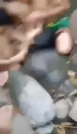 Bokep anak smp digilir bergantian viral Bokep anak smp digilir bergantian viral
